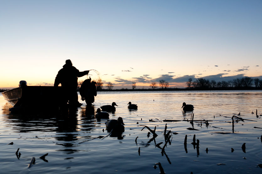 Setting decoys in the morning, Traverse County