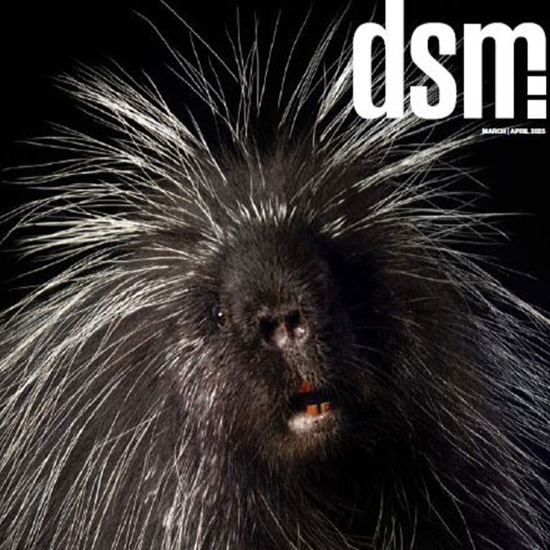 Feature image for <h5>dsm magazine</h5>