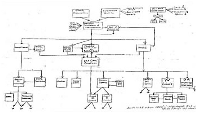 organization chart