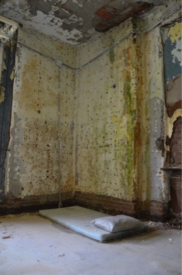 Pennhurst Visit 2014