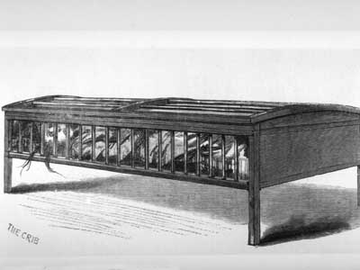Cages