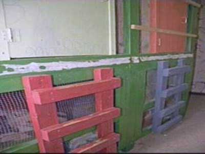 Cages