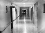Boswell Hall, evening staff at crossroads of hallways
