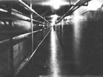 Tunnel to Boswell Hall