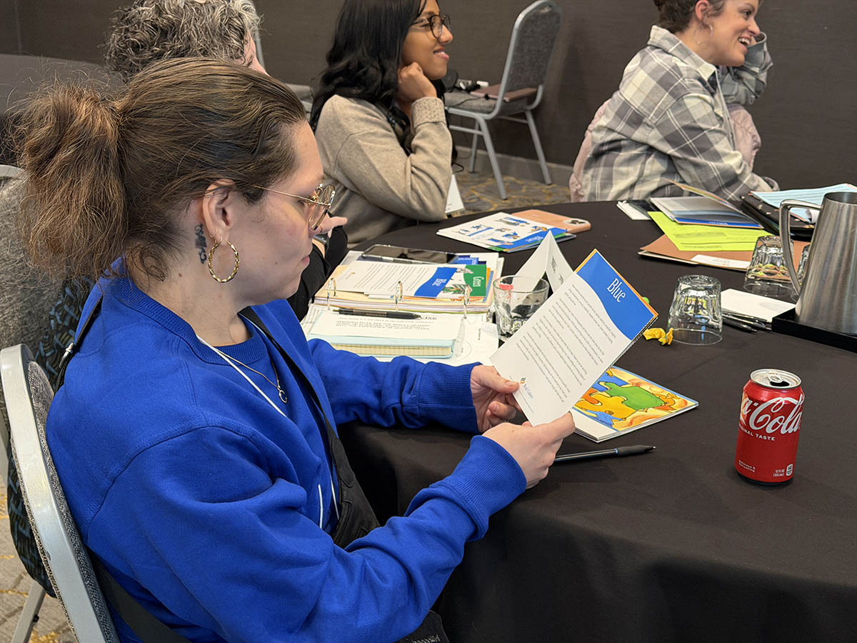 Class 43 January Session Activity