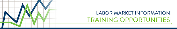 lmi-training lmi-training